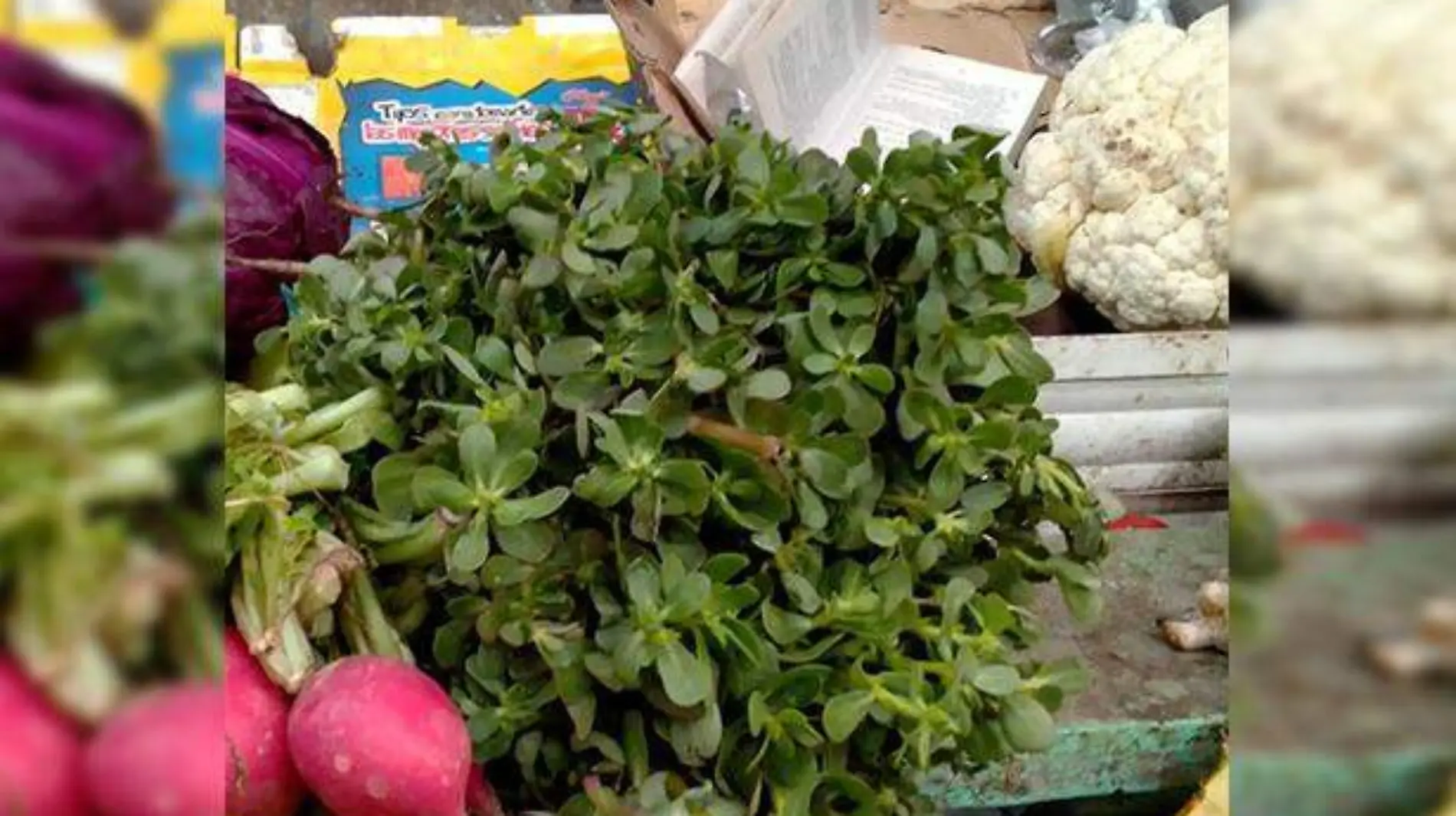 Alimentos como las verdolagas cada vez de producen menos en el campo de San Juan del